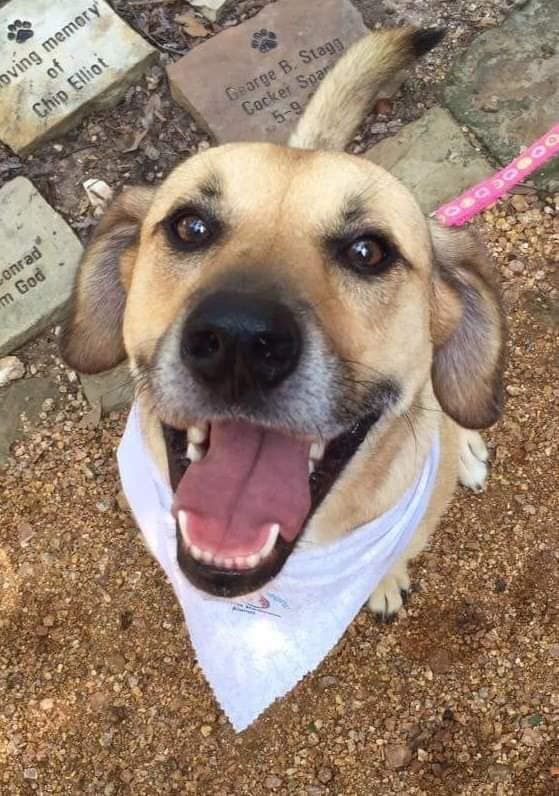 Tobi Ecstatic For Our First Walk!