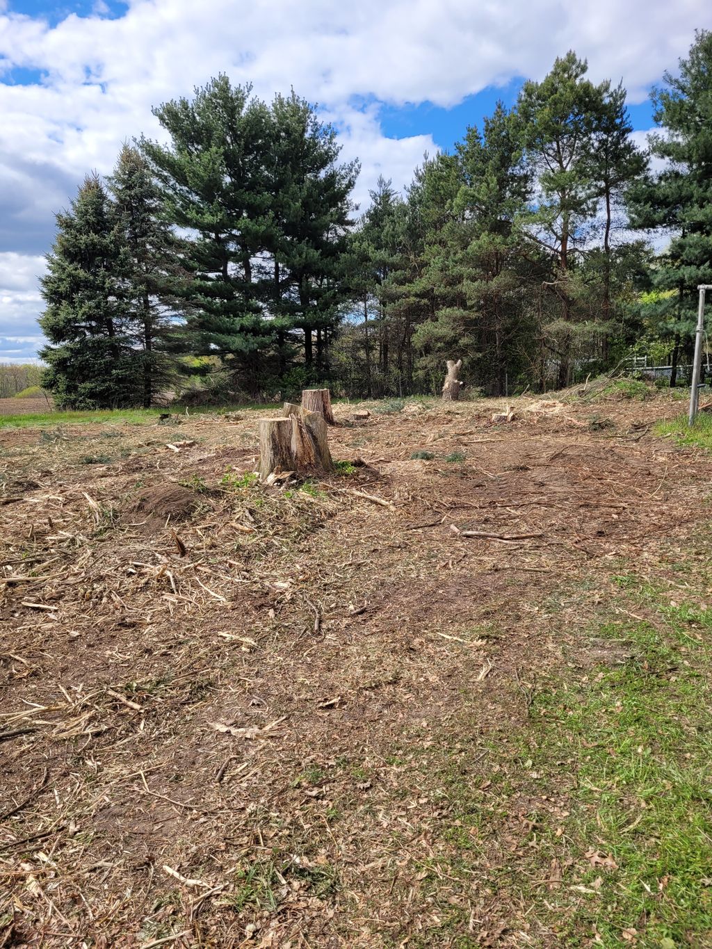 Land Clearing