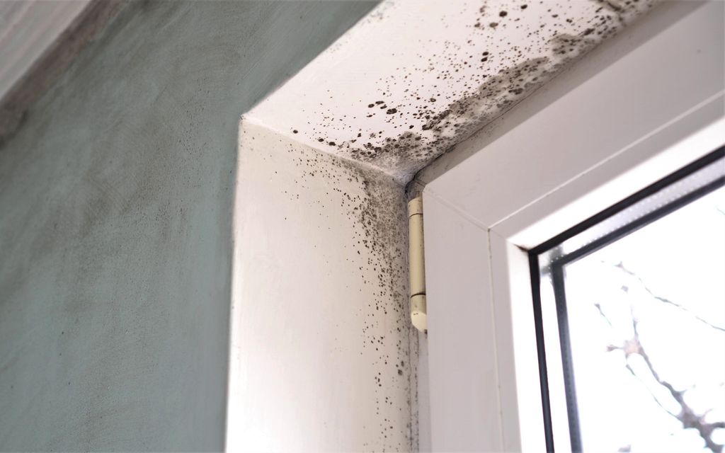 Weird sounds and smells in your home you should never ignore.