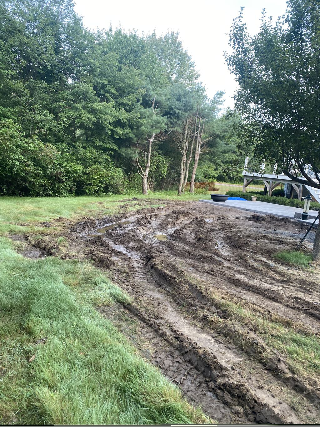 Sod Installation