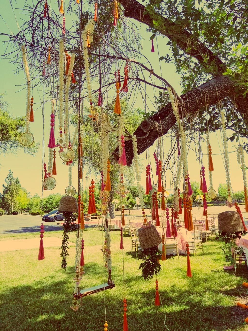 Tassles from a tree