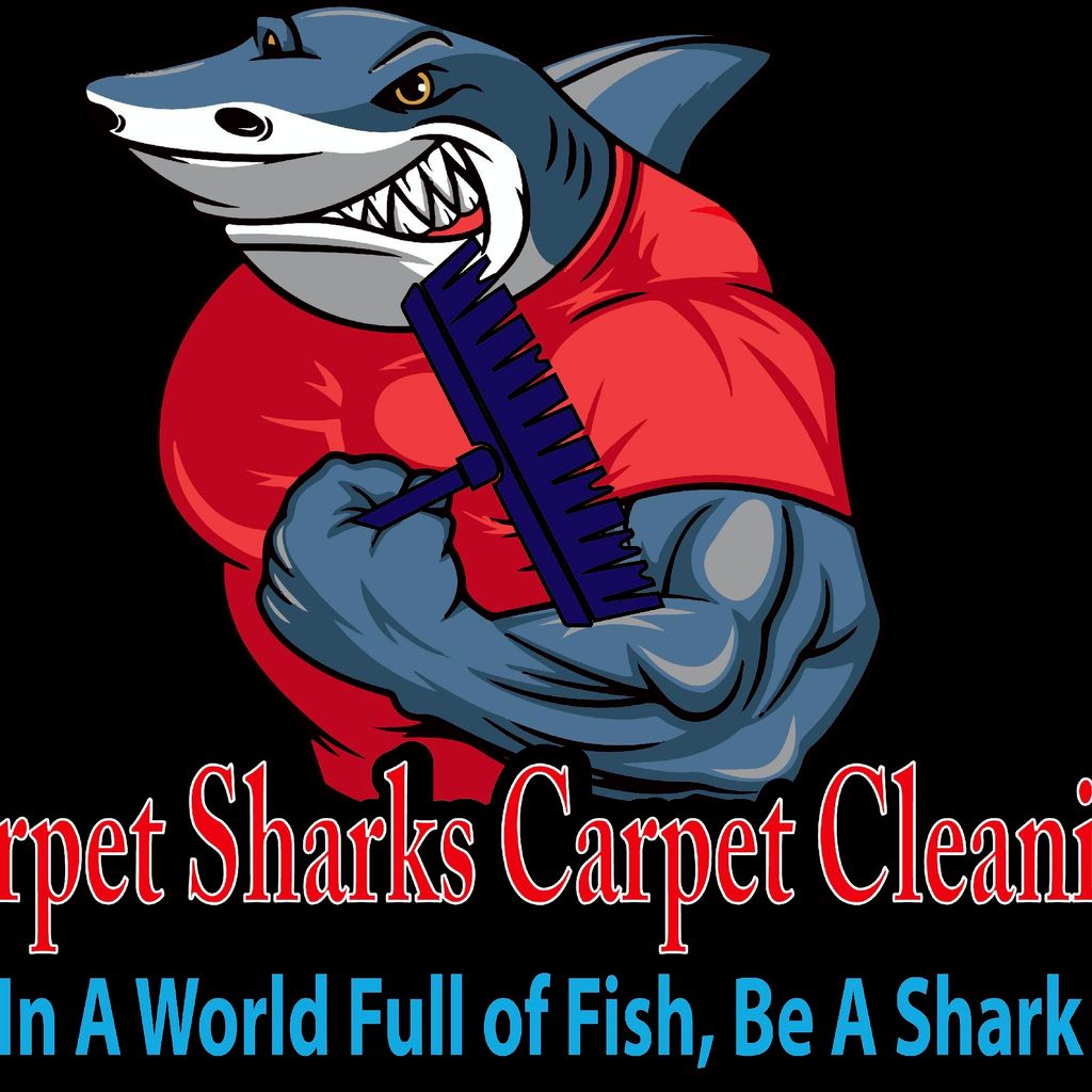 Carpet Sharks Carpet Cleaning