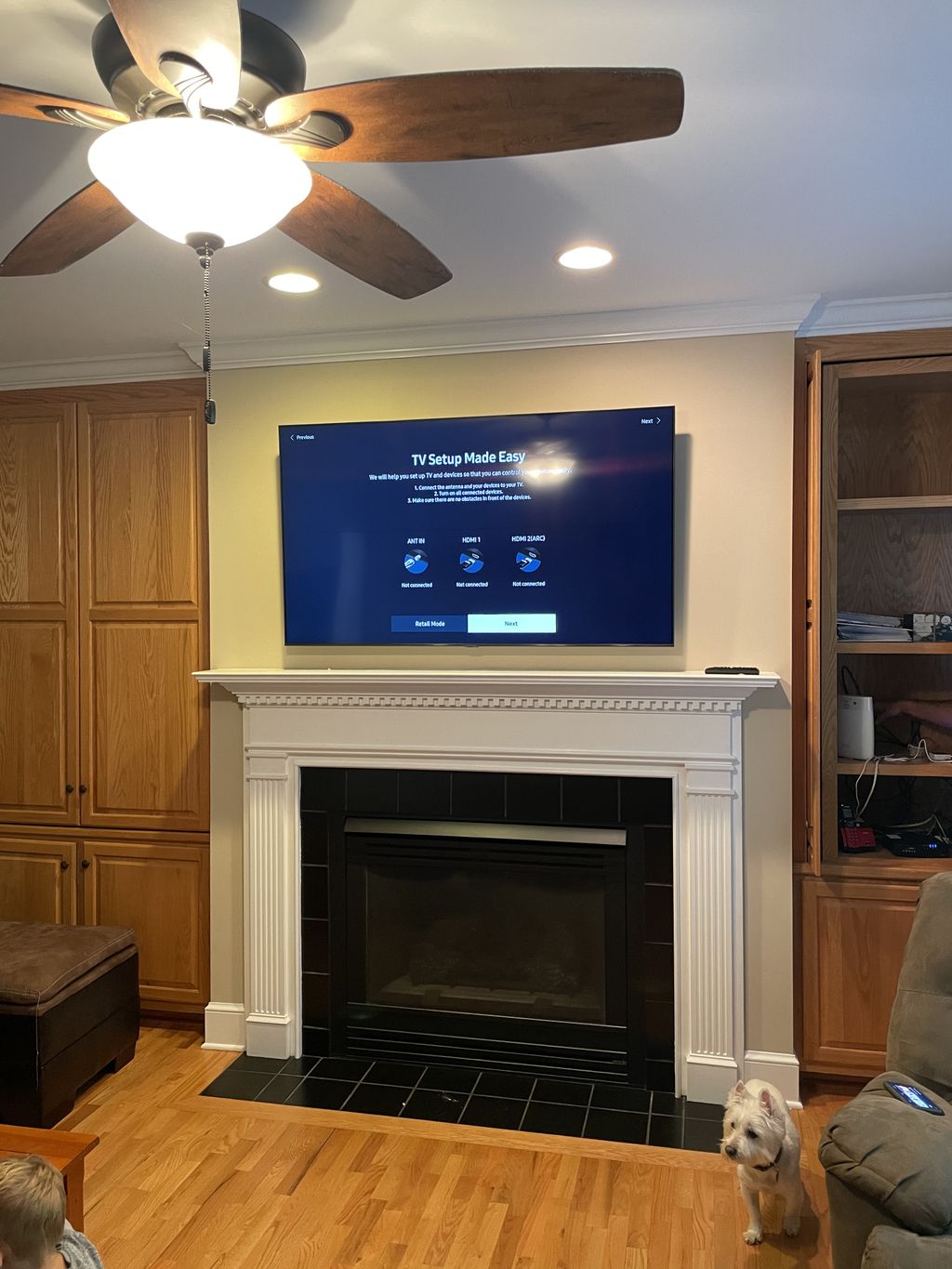 Projects and media