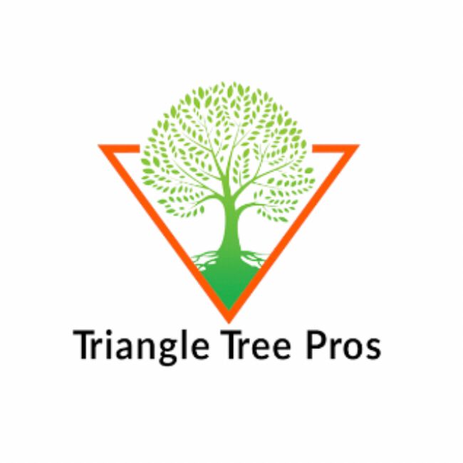 Triangle tree pro