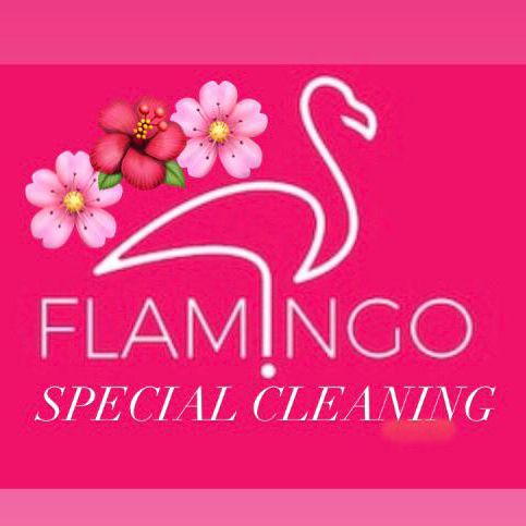 🦩🌸Flamingos Special Cleaning 🦩🌸