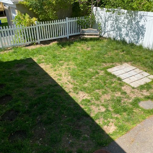 I needed a remodel done on my backyard; needless t