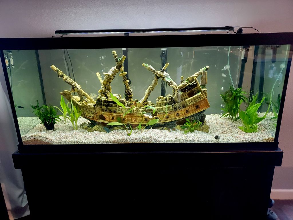 Customer photos