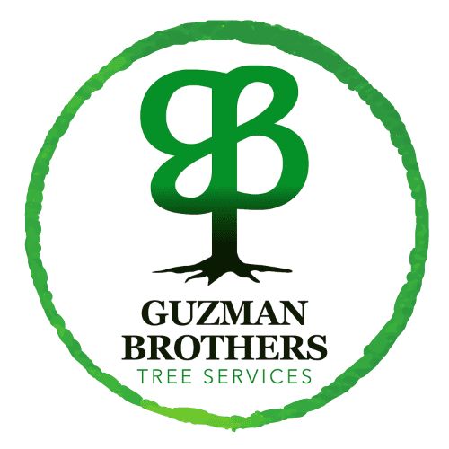 Guzman Brothers Tree Services, LLC