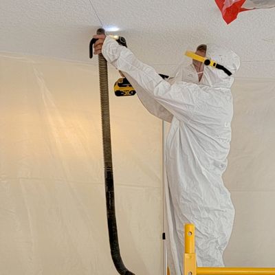 Tallahassee Mold Pros - Inspection, Removal, Remediation Services