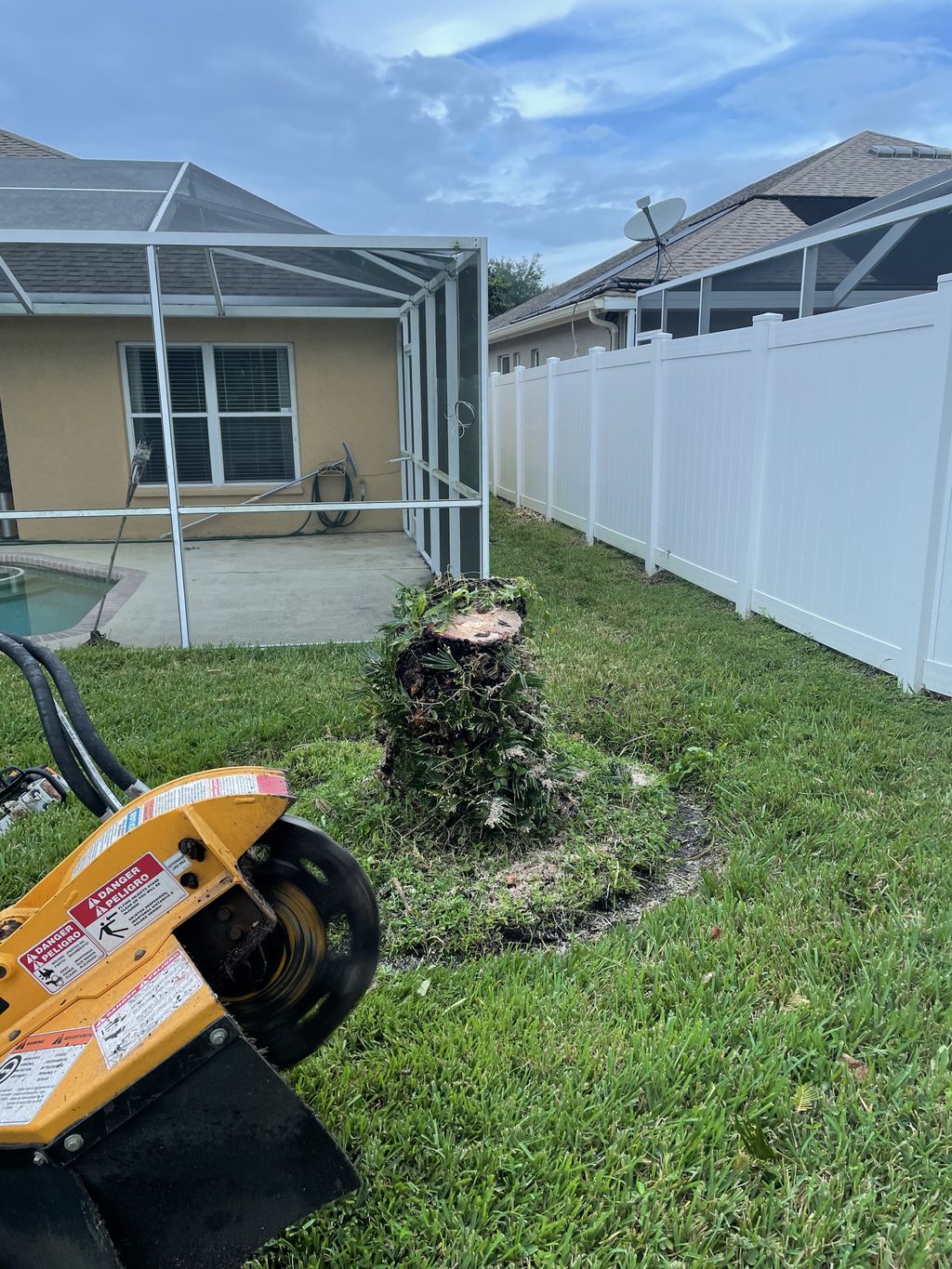 Tree Stump Grinding and Removal