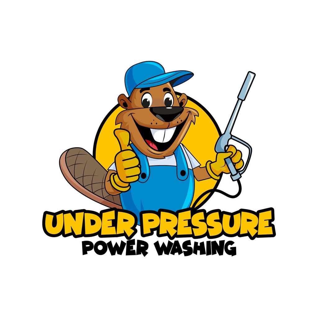 Under Pressure Power Washing SFL