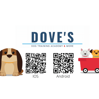 Avatar for Doves Dog Academy