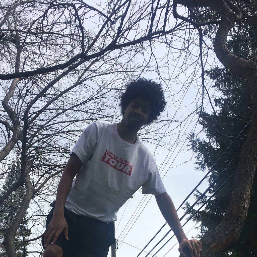TEEK Landscaping