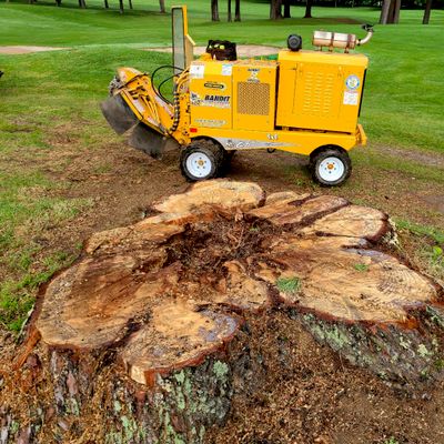 Avatar for Grind Time Stump Removal