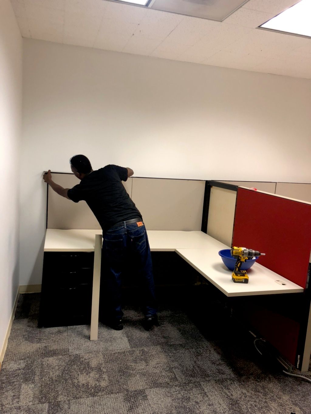 Projects and media