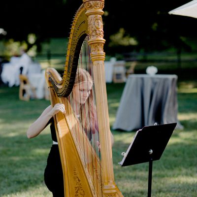 Avatar for Becca Schaefer, Harpist