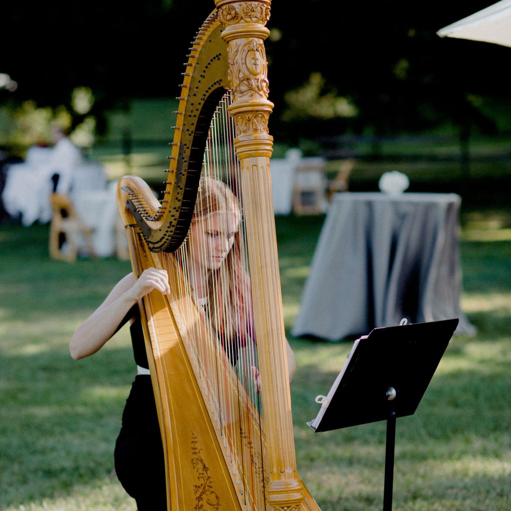 Becca Schaefer, Harpist