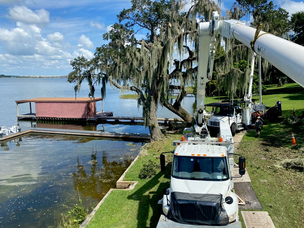 Tree Trimming and Removal