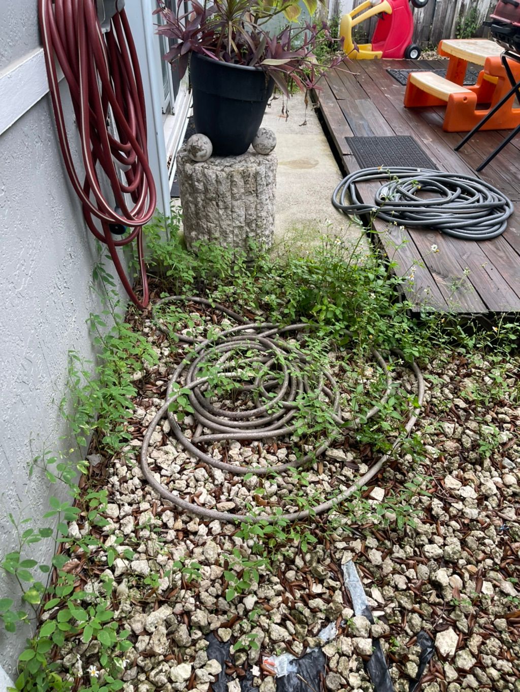 Customer photos