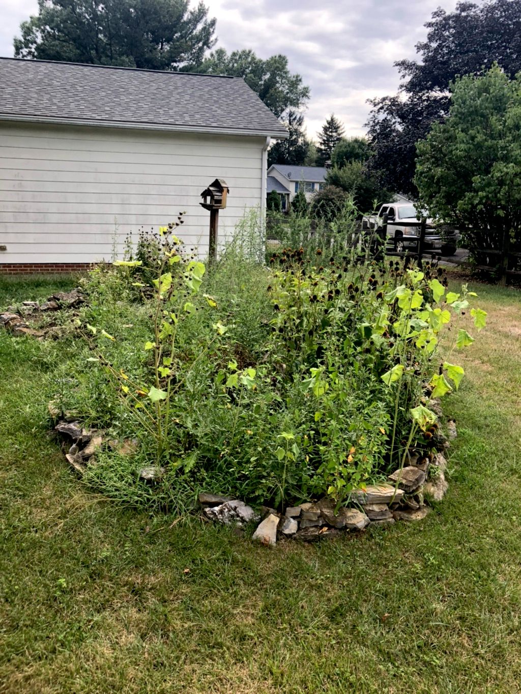 Customer photos