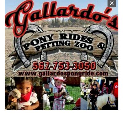 Avatar for Gallardos Pony Rides and Petting Zoo