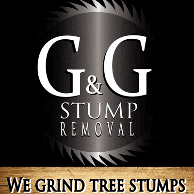 Avatar for G and G Stump Removal