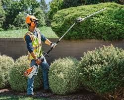 Hedge Trimming