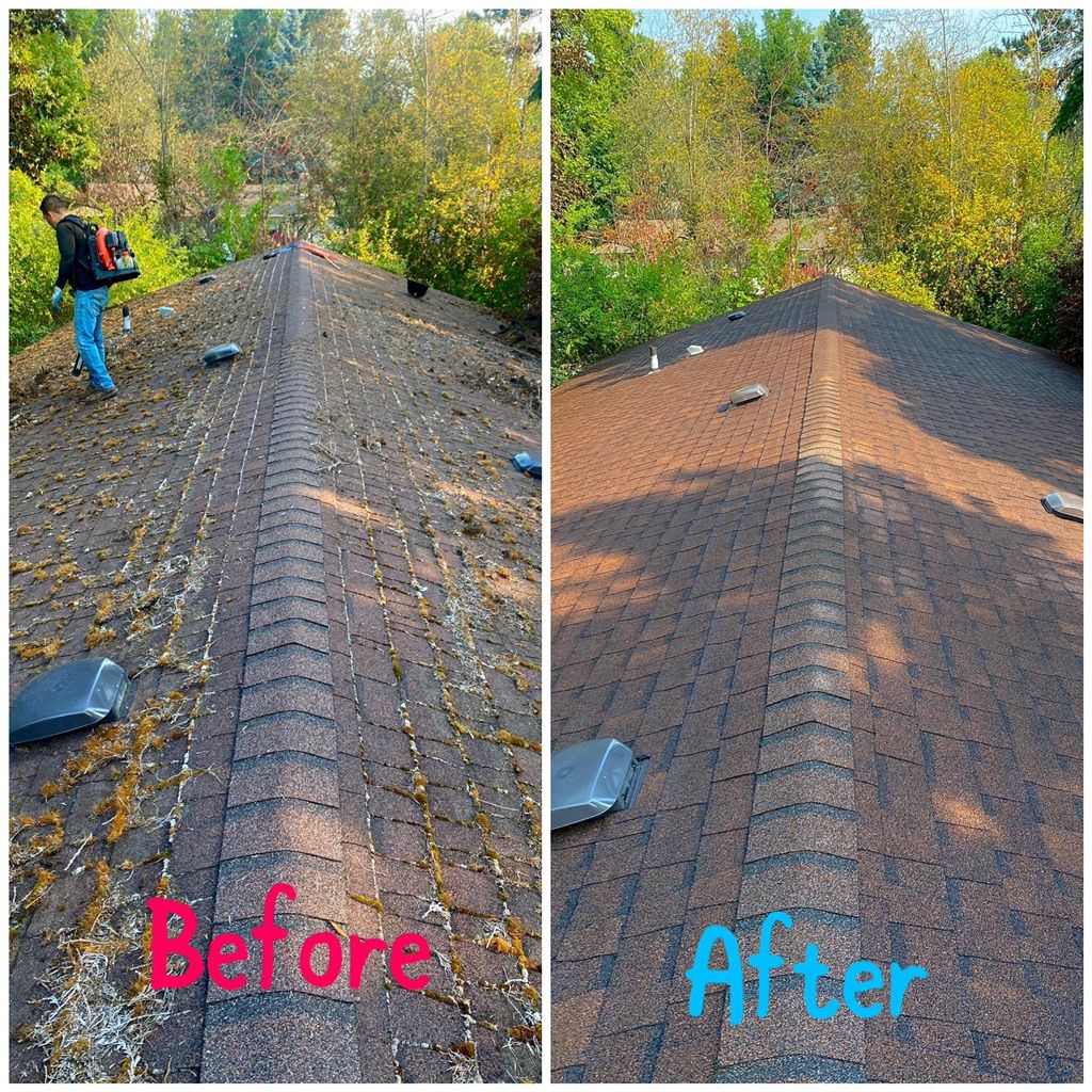 Roof Cleaning 