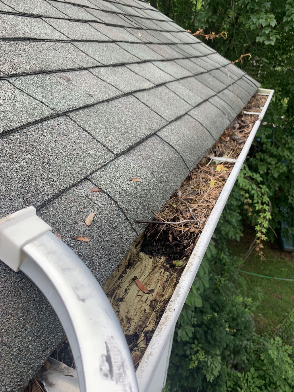 Look at how gunked up these gutters were!