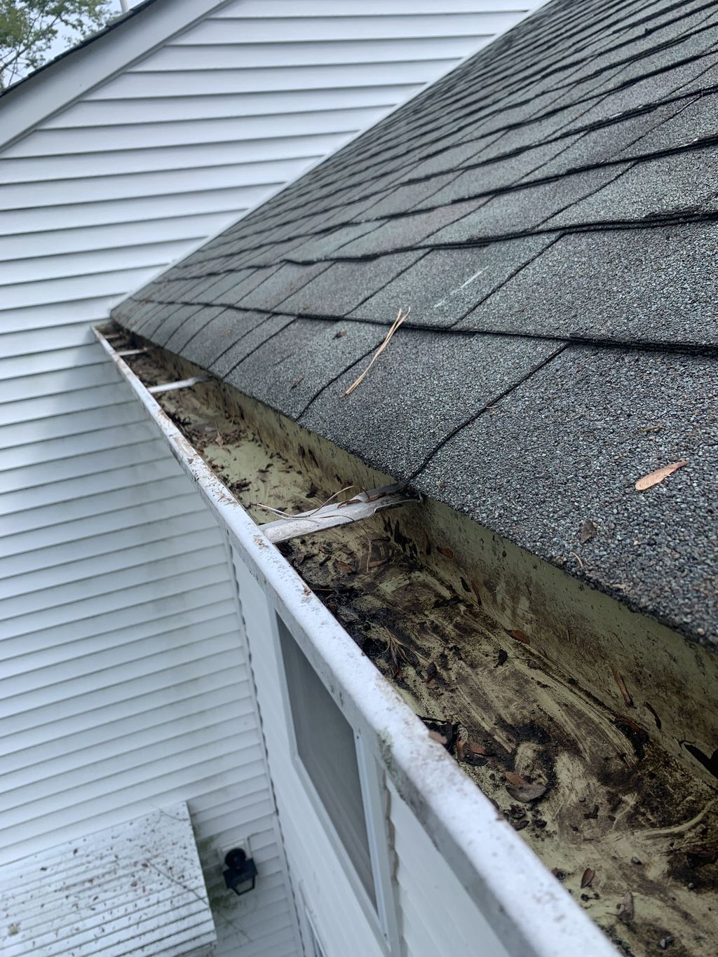 Look at how roomy the gutters look after we clean 