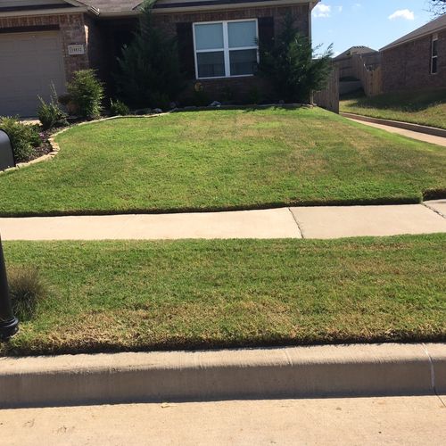 My lawn looks amazing! He was on time, very respon