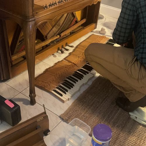 We “rescued” an old piano from a neighbor who had 