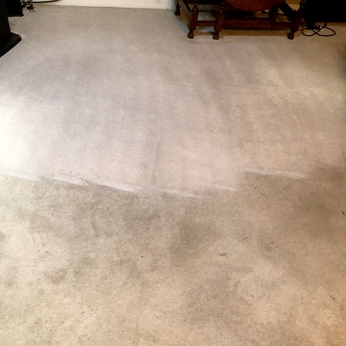 Stainmaster  carpet