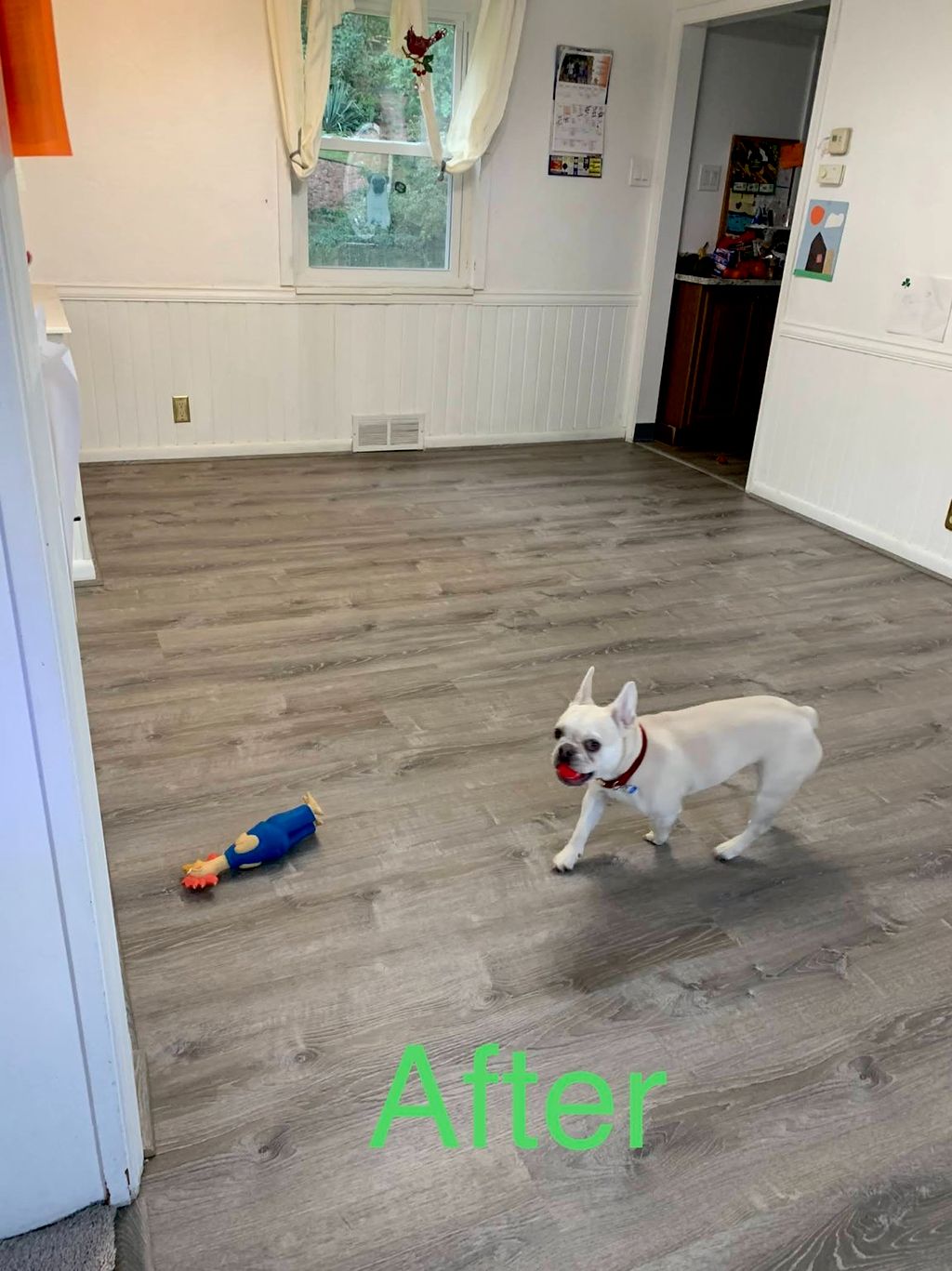 Customer photos