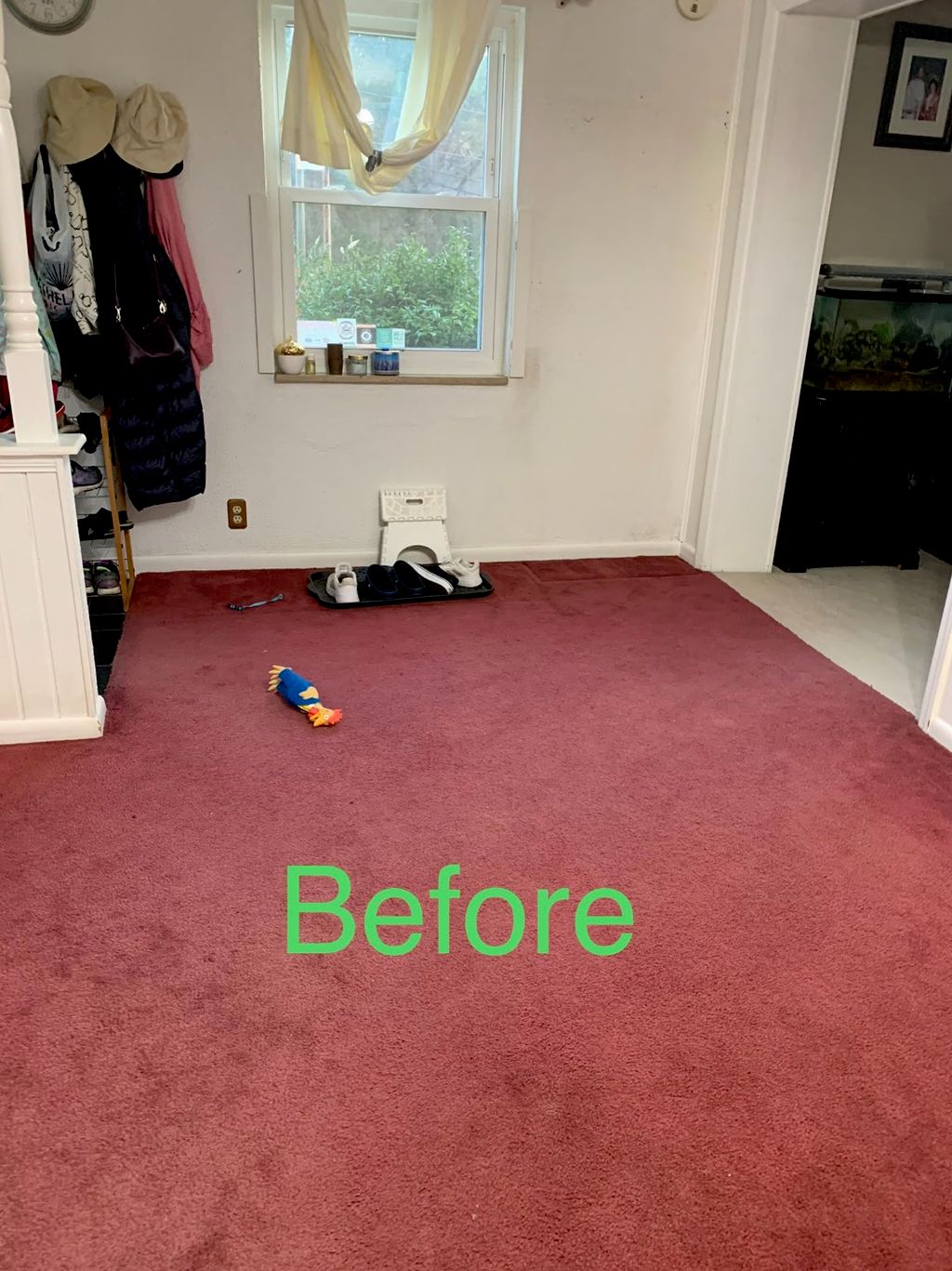 Customer photos