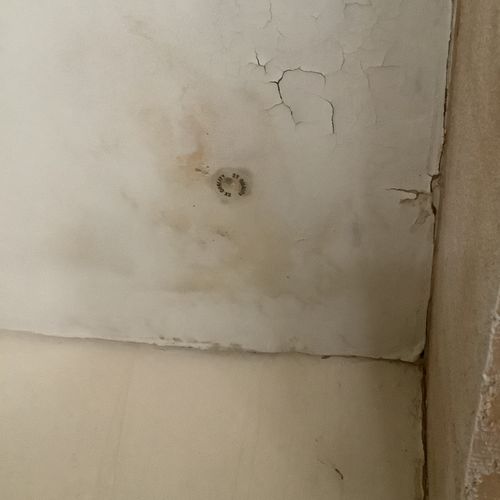 Mold and water damaged wall.