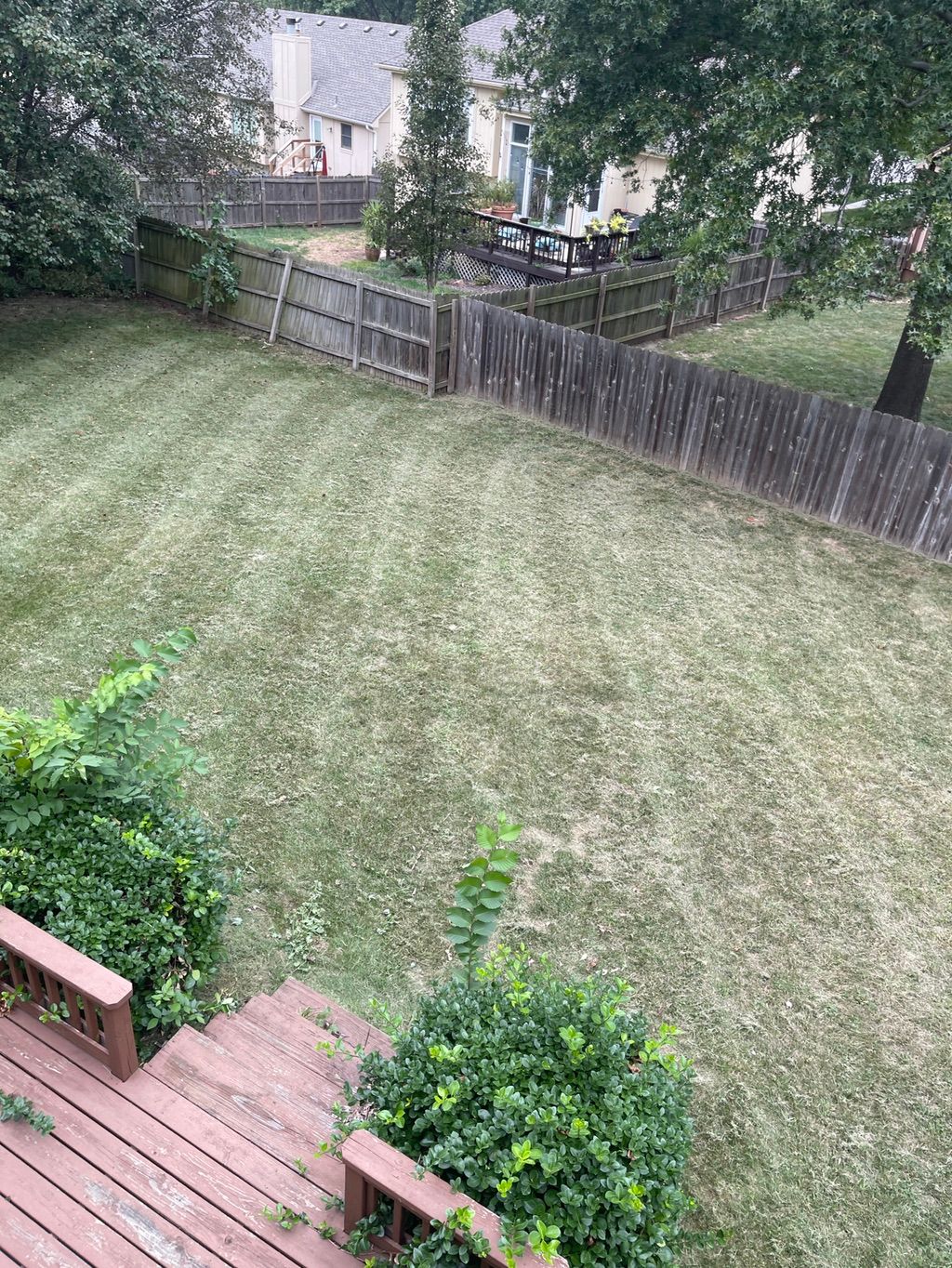 Customer photos