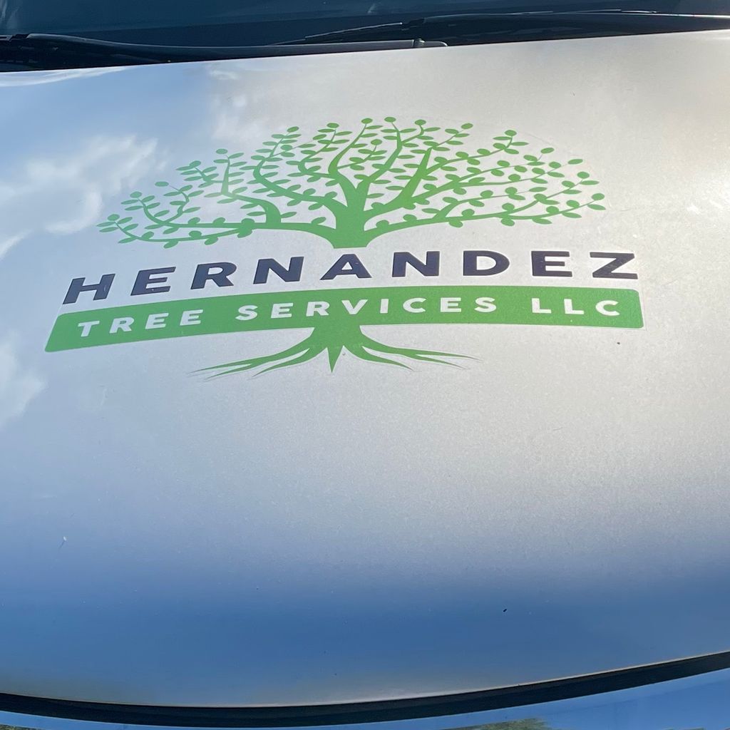 Hernandez  tree services LLC