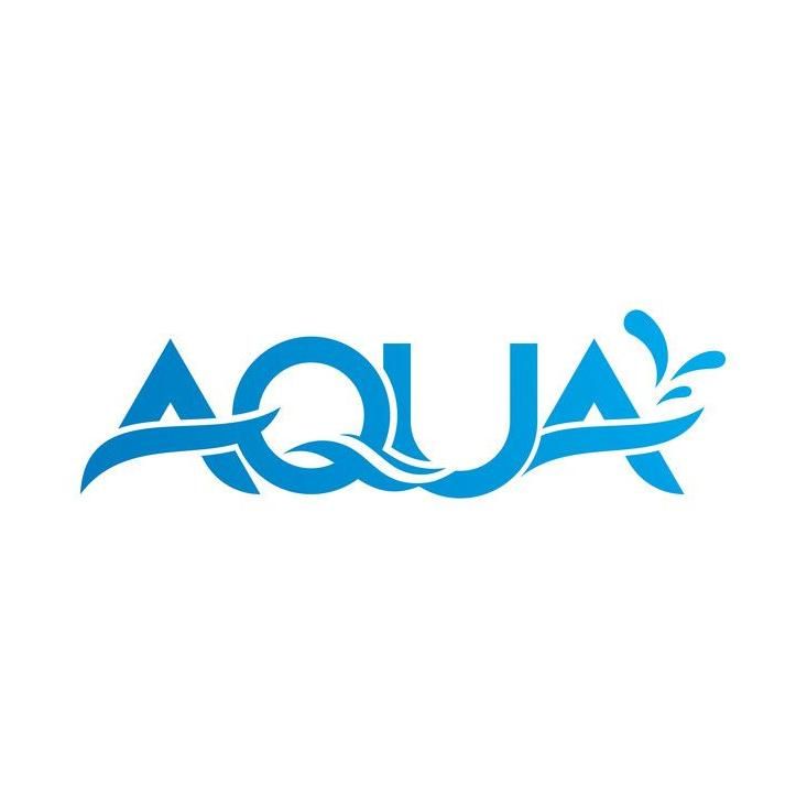 Aqua Demo Services And More.