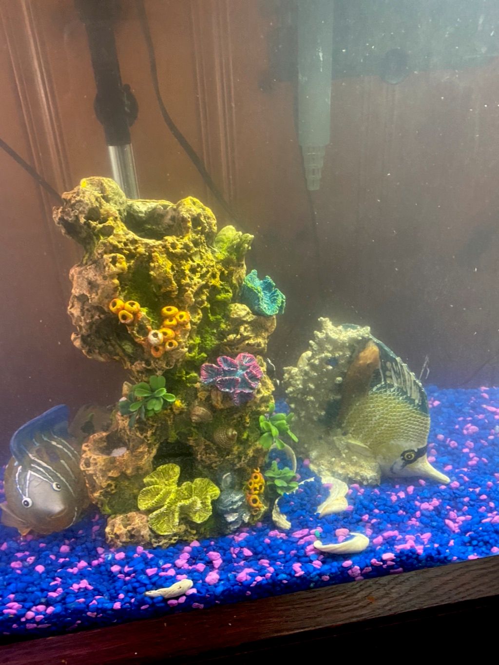 Customer photos