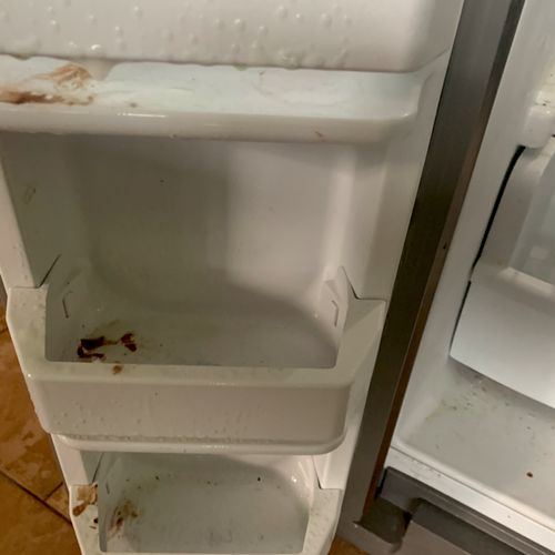 Refrigerator Cleaning- Before 