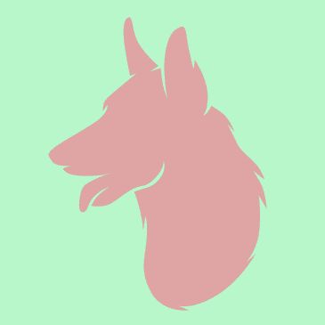 Running Paws Pet Services