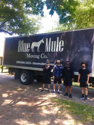 Avatar for Blue Mule Movers