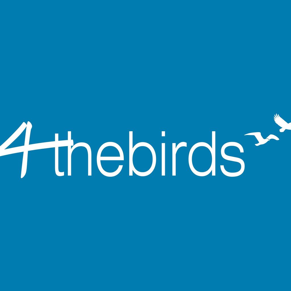 4theBirdsMoving