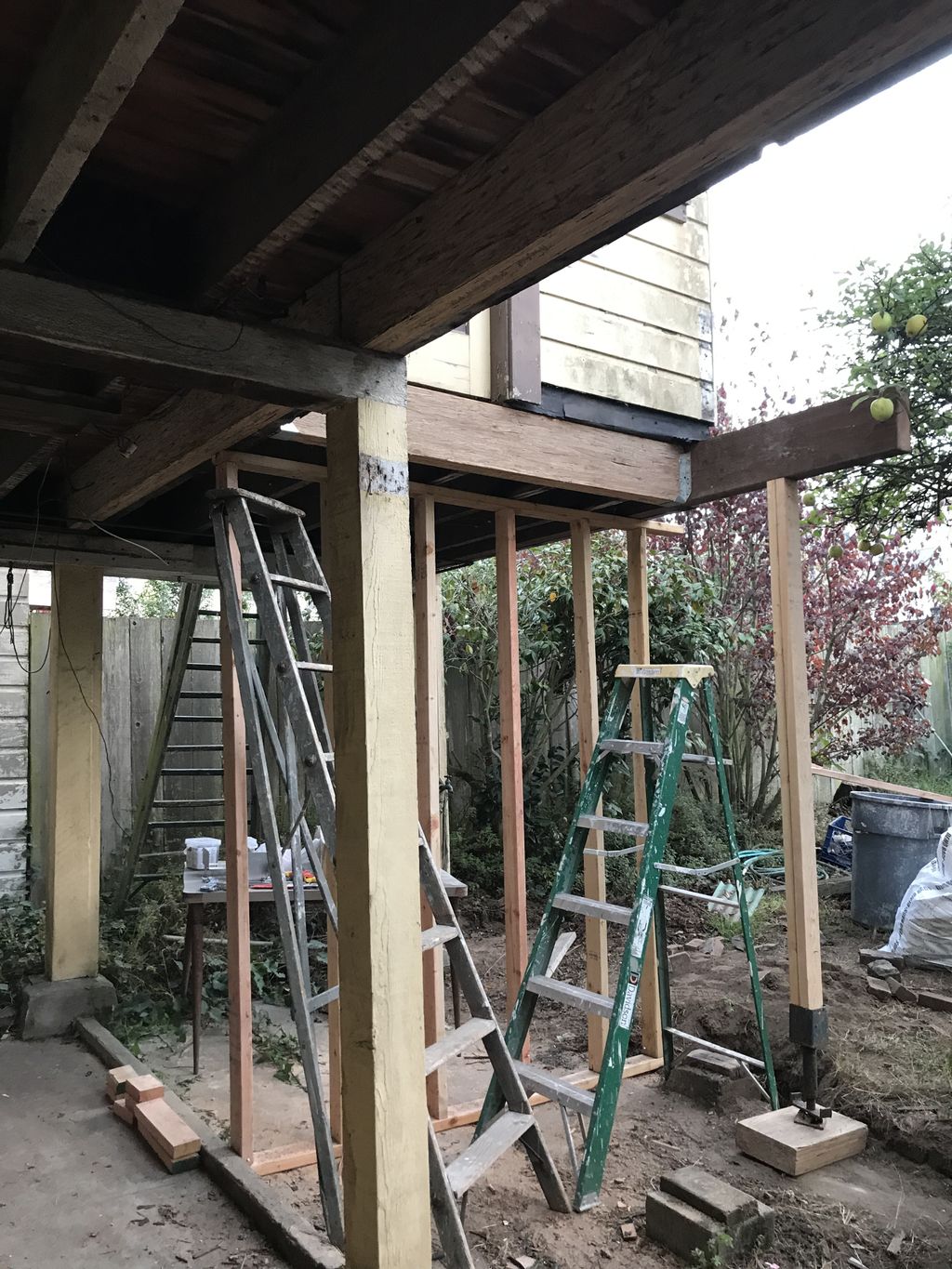 Projects and media