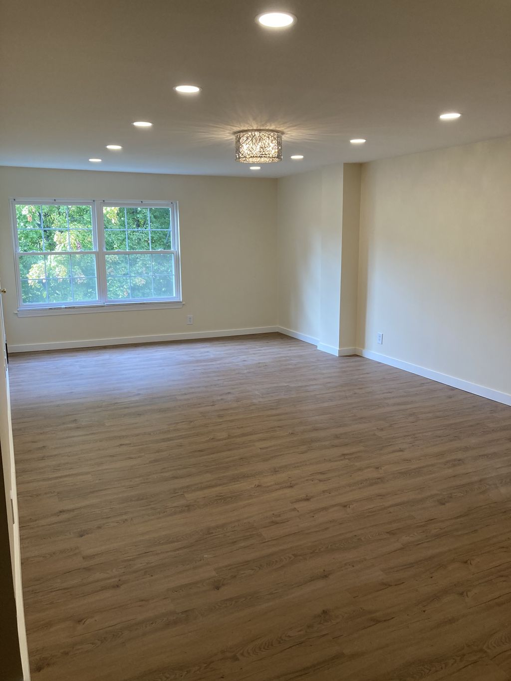 Complete reno of living room in mclean