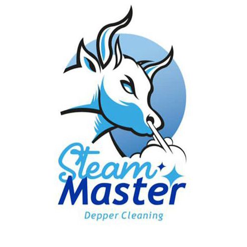 Steam Master Deeper Cleaning