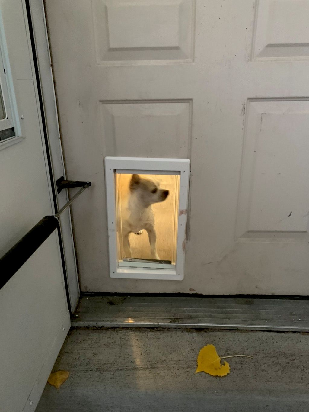 Installed a doggy door, it’s crooked and looks ter