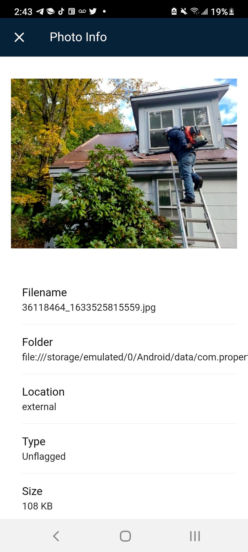 Projects and media