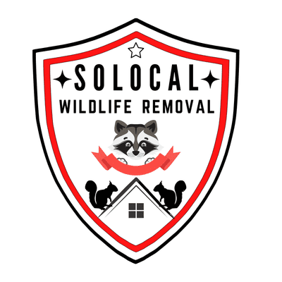 Avatar for Solocal Wildlife Removal